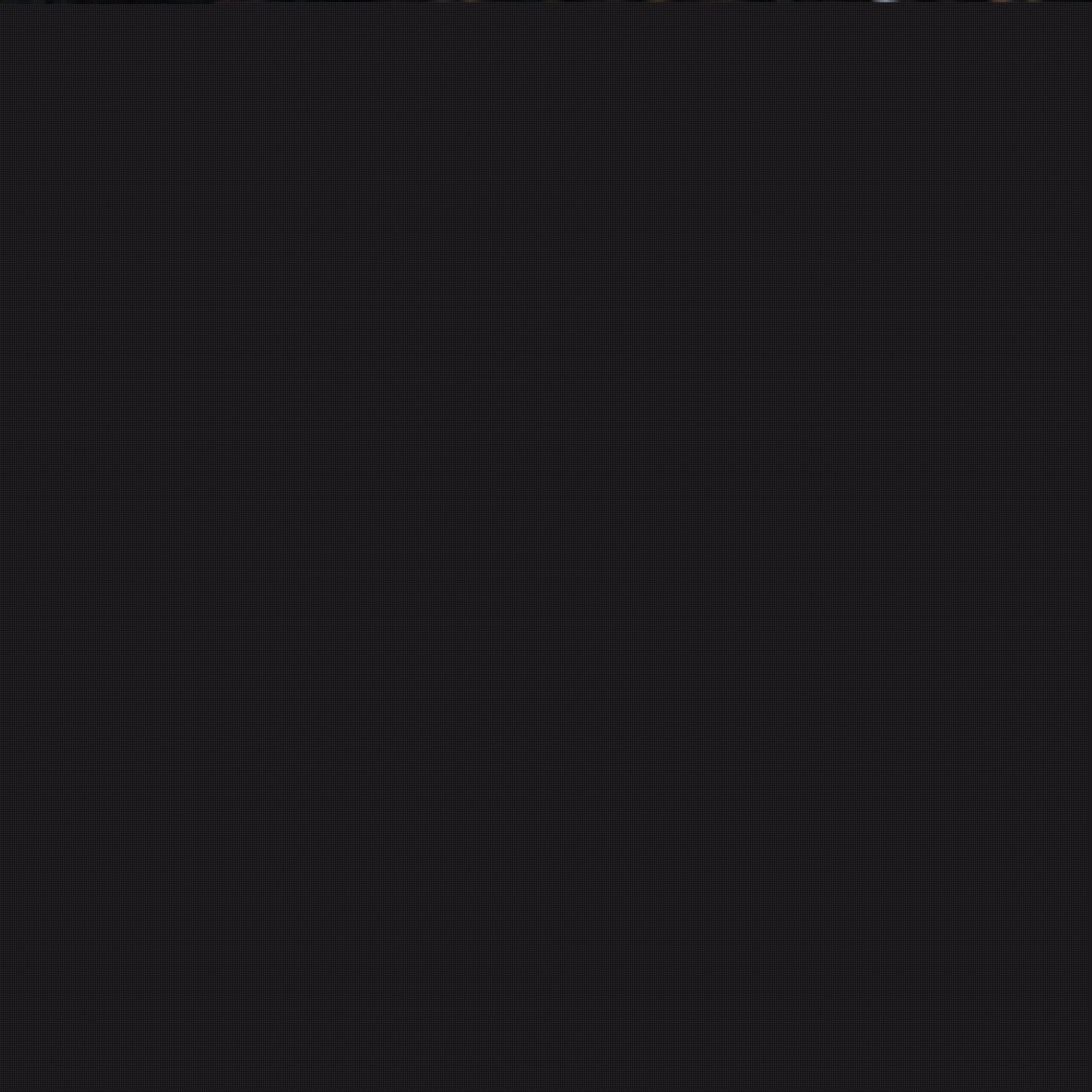 文并非毫无